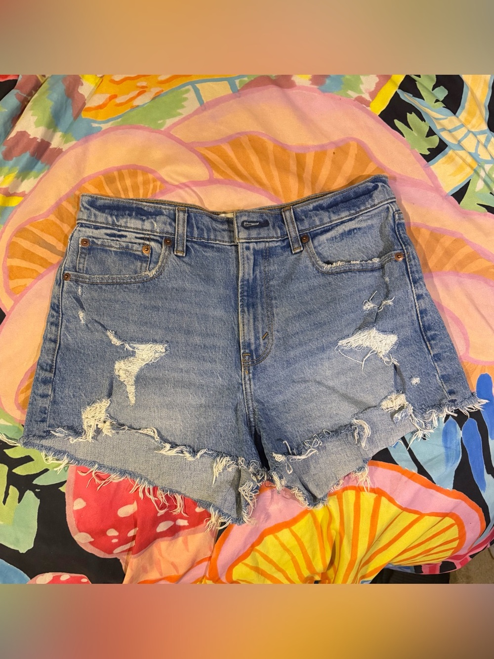 Abercrombie & Fitch High-Rise Distressed Blue Denim Jean Shorts size 28 / 6